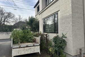 植栽伐採
